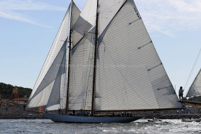 565 - Voiles de Saint tropez 2019 - Canon 7D - IMG_7705 DxO Pbase.jpg