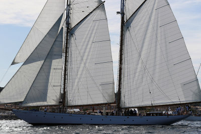 579 - Voiles de Saint tropez 2019 - Canon 7D - IMG_7719 DxO Pbase.jpg