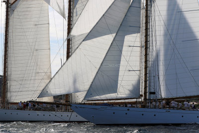 593 - Voiles de Saint tropez 2019 - Canon 7D - IMG_7732 DxO Pbase.jpg