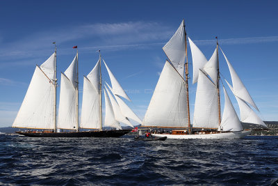 604 - Voiles de Saint tropez 2019 - IMG_9166 DxO Pbase.jpg