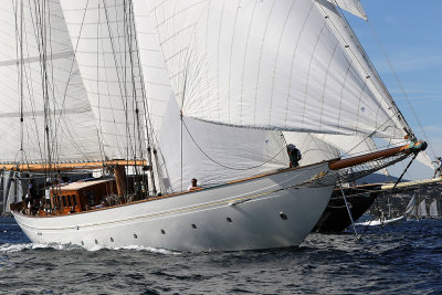 618 - Voiles de Saint tropez 2019 - Canon 7D - IMG_7746 DxO Pbase.jpg