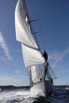 719 - Voiles de Saint tropez 2019 - IMG_9250 DxO Pbase.jpg