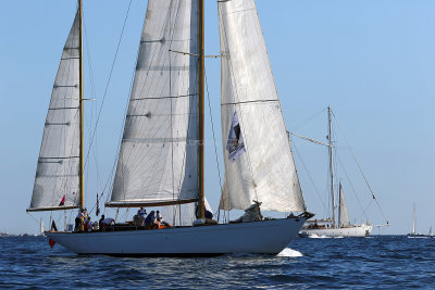 745 - Voiles de Saint tropez 2019 - Canon 7D - IMG_7793 DxO Pbase.jpg