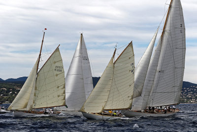 g12/09/515909/3/169901237.tOVkH1Rq.jpg