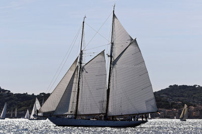 2838 - Voiles de Saint tropez 2019 - Canon 7D - IMG_8637_DxO Pbase.jpg