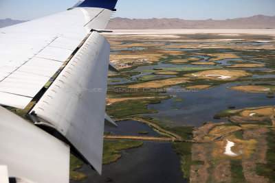 105 - Grand Teton and Yellowstone NP road trip 2019 - IMG_2033 DxO Pbase.jpg