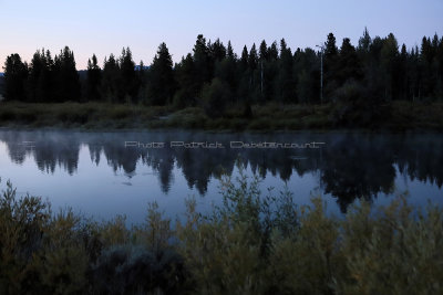 659 - Grand Teton and Yellowstone NP road trip 2019 - IMG_2547 DxO pbase.jpg