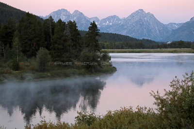 687 - Grand Teton and Yellowstone NP road trip 2019 - IMG_2575 DxO pbase.jpg