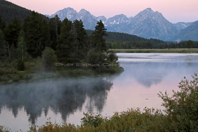 688 - Grand Teton and Yellowstone NP road trip 2019 - IMG_2576 DxO pbase.jpg