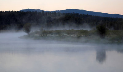 696 - Grand Teton and Yellowstone NP road trip 2019 - IMG_2584 DxO pbase.jpg