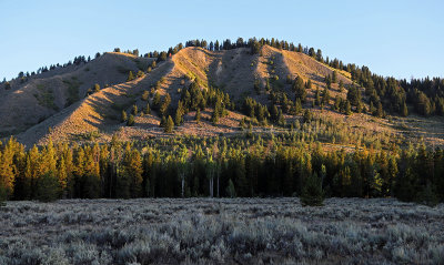 714 - Grand Teton and Yellowstone NP road trip 2019 - IMG_2603 DxO pbase.jpg