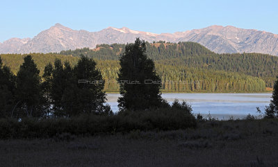 736 - Grand Teton and Yellowstone NP road trip 2019 - IMG_2622 DxO pbase.jpg