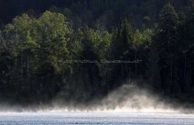 775 - Grand Teton and Yellowstone NP road trip 2019 - IMG_2658 DxO pbase.jpg