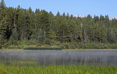 779 - Grand Teton and Yellowstone NP road trip 2019 - IMG_2662 DxO pbase.jpg