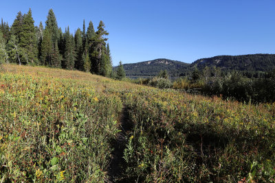 782 - Grand Teton and Yellowstone NP road trip 2019 - IMG_2663 DxO pbase.jpg