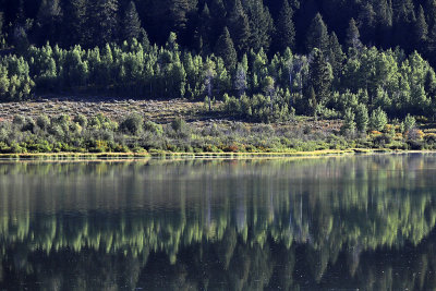 791 - Grand Teton and Yellowstone NP road trip 2019 - IMG_2672 DxO pbase.jpg