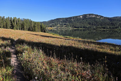 813 - Grand Teton and Yellowstone NP road trip 2019 - IMG_2687 DxO pbase.jpg