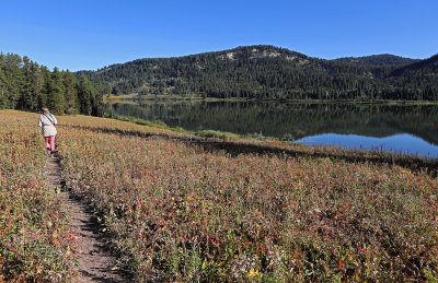 816 - Grand Teton and Yellowstone NP road trip 2019 - IMG_2690 DxO pbase.jpg