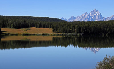 881 - Grand Teton and Yellowstone NP road trip 2019 - IMG_2748 DxO pbase.jpg