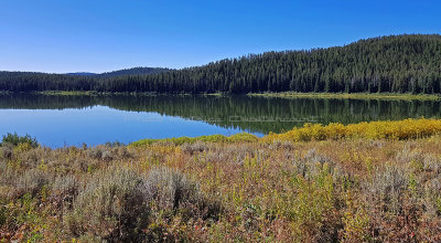 934 - Grand Teton and Yellowstone NP road trip 2019 - 20190827_101746 DxO pbase.jpg