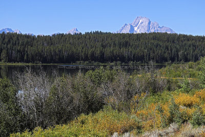 944 - Grand Teton and Yellowstone NP road trip 2019 - IMG_2806 DxO pbase.jpg