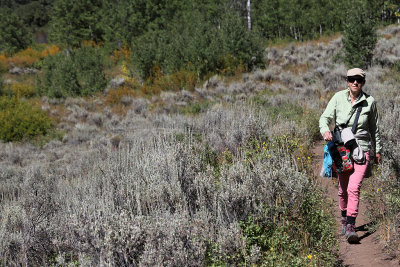 947 - Grand Teton and Yellowstone NP road trip 2019 - IMG_2808 DxO pbase.jpg