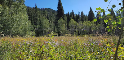 948 - Grand Teton and Yellowstone NP road trip 2019 - 20190827_103815 DxO pbase.jpg