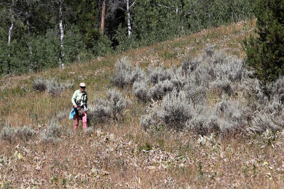 952 - Grand Teton and Yellowstone NP road trip 2019 - IMG_2812 DxO pbase.jpg