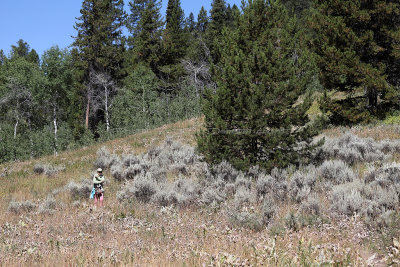 953 - Grand Teton and Yellowstone NP road trip 2019 - IMG_2813 DxO pbase.jpg