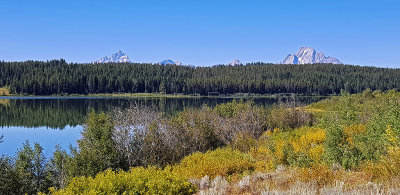 955 - Grand Teton and Yellowstone NP road trip 2019 - 20190827_113407 DxO pbase.jpg