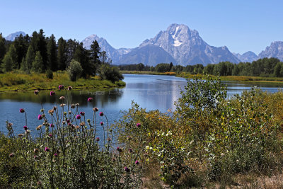 969 - Grand Teton and Yellowstone NP road trip 2019 - IMG_2825 DxO pbase.jpg