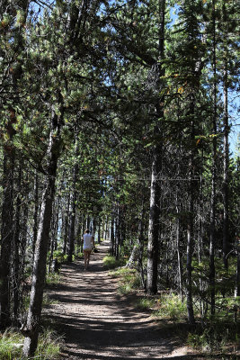 993 - Grand Teton and Yellowstone NP road trip 2019 - IMG_2842 DxO pbase.jpg