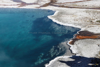 1184 - Grand Teton and Yellowstone NP road trip 2019 - IMG_3043 DxO pbase.jpg