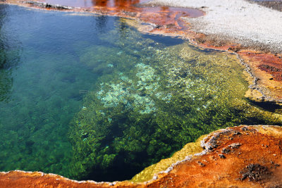 1191 - Grand Teton and Yellowstone NP road trip 2019 - IMG_3051 DxO pbase.jpg