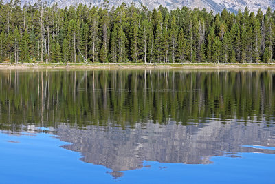 g12/09/515909/3/170085936.e5F8So1A.jpg