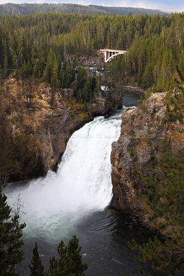 1761 - Grand Teton and Yellowstone NP road trip 2019 - IMG_3605 DxO pbase.jpg