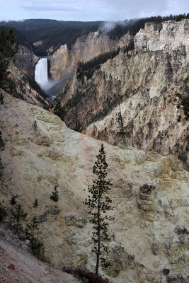 1786 - Grand Teton and Yellowstone NP road trip 2019 - IMG_3637 DxO pbase.jpg