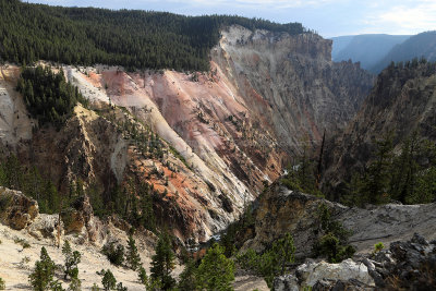 1806 - Grand Teton and Yellowstone NP road trip 2019 - IMG_3661 DxO pbase.jpg