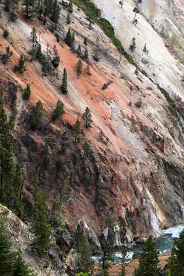 1821 - Grand Teton and Yellowstone NP road trip 2019 - IMG_3676 DxO pbase.jpg