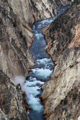 1825 - Grand Teton and Yellowstone NP road trip 2019 - IMG_3681 DxO pbase.jpg