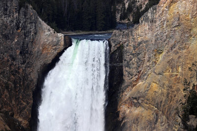 1831 - Grand Teton and Yellowstone NP road trip 2019 - IMG_3687 DxO pbase.jpg