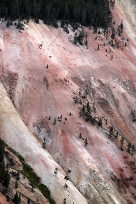 1834 - Grand Teton and Yellowstone NP road trip 2019 - IMG_3690 DxO pbase.jpg