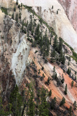 1848 - Grand Teton and Yellowstone NP road trip 2019 - IMG_3704 DxO pbase.jpg