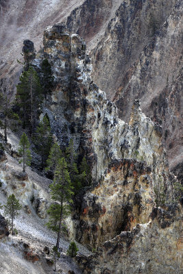 1868 - Grand Teton and Yellowstone NP road trip 2019 - IMG_3727 DxO pbase.jpg