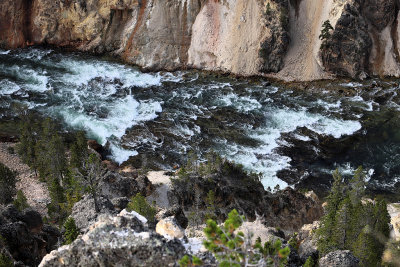 1873 - Grand Teton and Yellowstone NP road trip 2019 - IMG_3732 DxO pbase.jpg