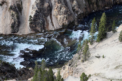 1874 - Grand Teton and Yellowstone NP road trip 2019 - IMG_3733 DxO pbase.jpg