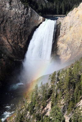 1878 - Grand Teton and Yellowstone NP road trip 2019 - IMG_3737 DxO pbase.jpg