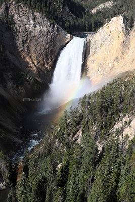 1883 - Grand Teton and Yellowstone NP road trip 2019 - IMG_3743 DxO pbase.jpg