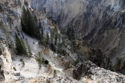 1899 - Grand Teton and Yellowstone NP road trip 2019 - IMG_3770 DxO pbase.jpg