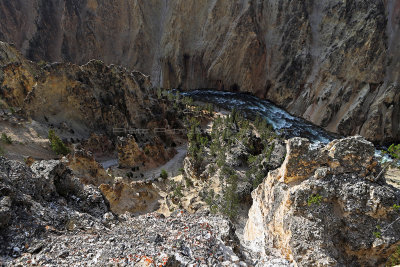 1901 - Grand Teton and Yellowstone NP road trip 2019 - IMG_3775 DxO pbase.jpg